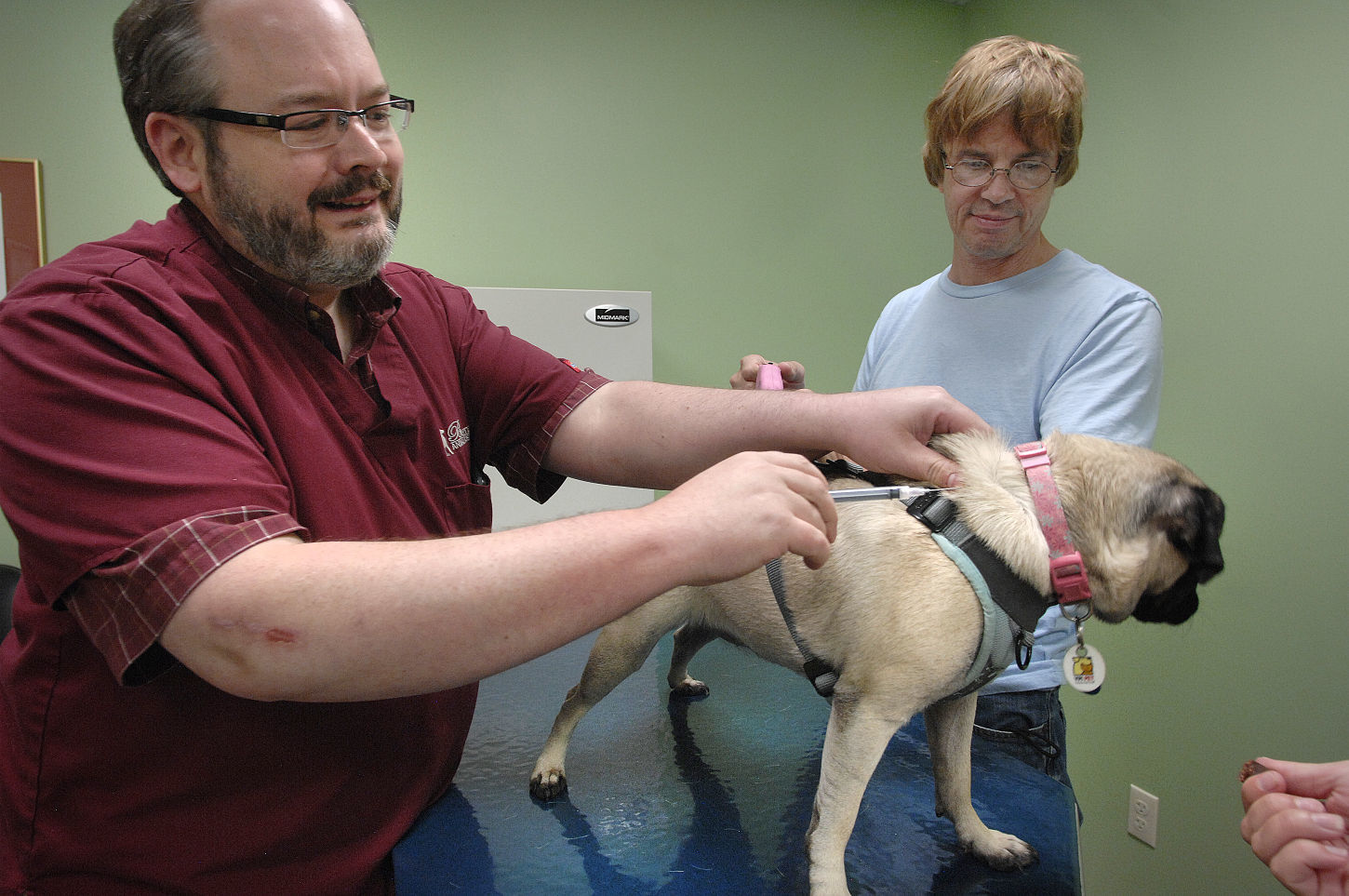 Visit the vet